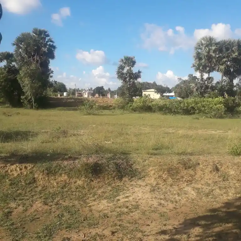 Arulmigu Karuppar Temple, Mattangal - 613301 அருள்மிகு கருப்பர் திருக்கோயில், மட்டங்கால் - 613301, Pudukkottai - Ancient Temple Architecture and History Image 9