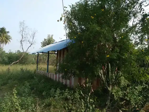 Arulmigu Karuppar Temple, Mullikkapatti - 613301 அருள்மிகு கருப்பர் திருக்கோயில், Mullikkapatti - 613301, Pudukkottai - Ancient Temple Architecture and History Image 3