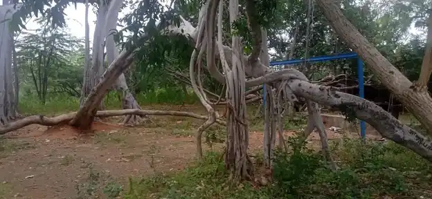 Arulmigu Karuppar Temple, Potthampatti - 622202 அருள்மிகு கருப்பர் திருக்கோயில், பொத்தம்பட்டி,  - 622202, Pudukkottai - Ancient Temple Architecture and History Image 2