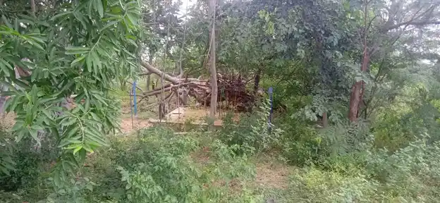 Arulmigu Karuppar Temple, Potthampatti - 622202 அருள்மிகு கருப்பர் திருக்கோயில், பொத்தம்பட்டி,  - 622202, Pudukkottai - Ancient Temple Architecture and History Image 4