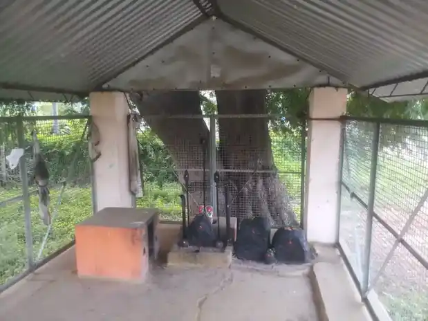 Arulmigu Karupparayan Temple, Kalapatti - 641035 அருள்மிகு கருப்புராயர் திருக்கோயில், Kalapatti - 641035, Coimbatore - Ancient Temple Architecture and History Image 7