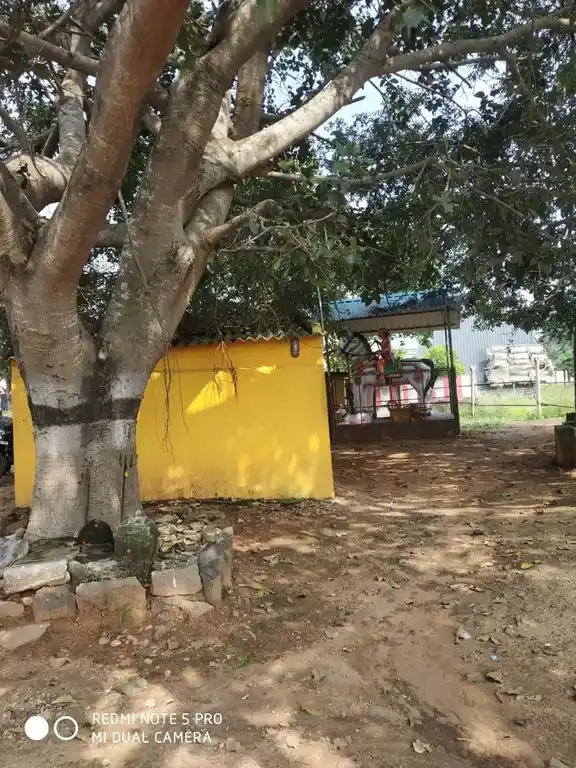 Arulmigu Karupparayan Temple, Othakalmandapam - 641032 அருள்மிகு கருப்பராயன் திருக்கோயில், ஒத்தக்கால்மண்டபம் - 641032, Coimbatore - Ancient Temple Architecture and History Image 6