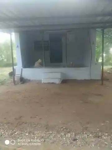 Arulmigu Karupparayan Thirukoil, Chinnagoundampalayam - 638462 அருள்மிகு கருப்பராயன் திருக்கோயில், Chinnagoundampalayam - 638462, Erode - Ancient Temple Architecture and History Image 3