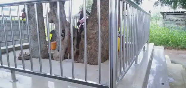 Arulmigu Karupparayar Temple, Pethampochipalayam, Poomalur - 641663 அருள்மிகு கருப்பராயர் திருக்கோயில், Pethampochipalayam, Poomalur - 641663, Tiruppur - Ancient Temple Architecture and History Image 4