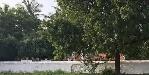 Arulmigu Karupparayar Temple, Sukkampalayam - 641662 அருள்மிகு கருப்பராயன் திருக்கோயில், Sukkampalayam - 641662, Tiruppur - Ancient Temple Architecture and History Image 6