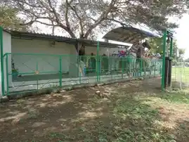 Arulmigu Karupparayaswamy Temple, Agraharaperiyapalayam - 638812
