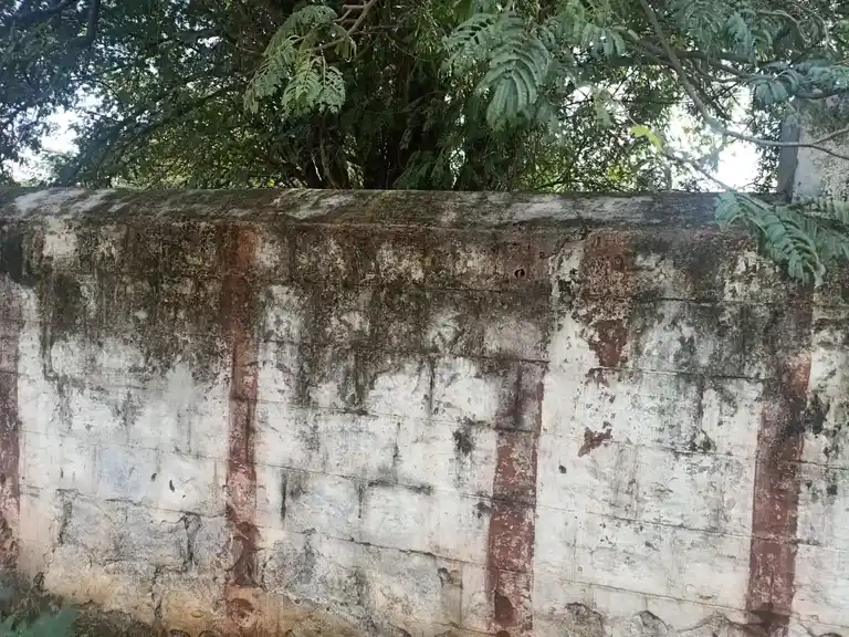 Arulmigu Karupparayaswamy Temple, Anaipalayam - 638752 அருள்மிகு கருப்பராயசுவாமி திருக்கோயில், Anaipalayam - 638752, Tiruppur - Ancient Temple Architecture and History Image 4