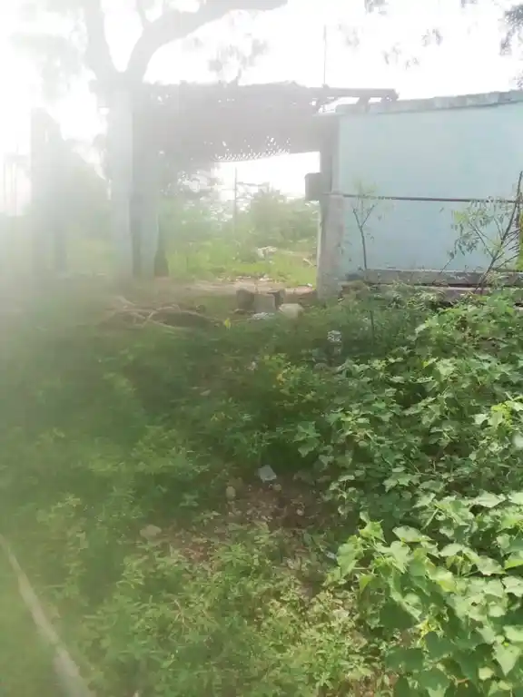 Arulmigu Karupparayaswamy Temple, Nochikuttai - 638459 அருள்மிகு கருப்பராய சுவாமி திருக்கோயில், Nochikuttai - 638459, Erode - Ancient Temple Architecture and History Image 4