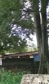 Arulmigu Karuppasami Temple, -, Neduvayal - 627803 அருள்மிகு கருப்பசாமி திருக்கோயில், -, Neduvayal - 627803, Tenkasi - Ancient Temple Architecture and History Image 4