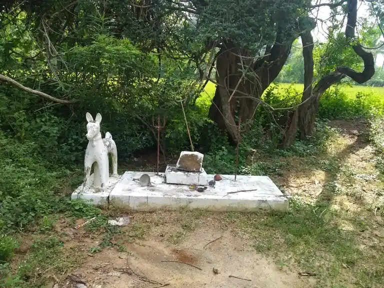 Arulmigu Karuppasamy Kannimar Temple, Chokkampatti - 625103 அருள்மிகு கருப்பசாமி, கன்னிமார் கோயில், சொக்கம்பட்டி - 625103, Madurai - Ancient Temple Architecture and History Image 3