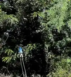 Arulmigu Karuppasamy @ Karupanasamy Temple, Kulathupatti - 630410