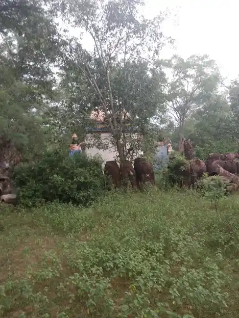 Arulmigu Karuppaswamy Temple, Adhikaram - 621310 Arulmigu Karuppaswamy Temple, Adhikaram - 621310, Thiruchirappalli - Ancient Temple Architecture and History Image 4