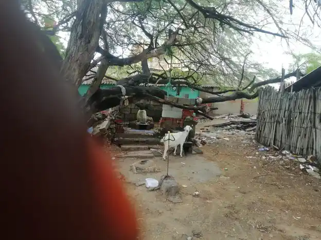 Arulmigu Karuppatadi Muniyasamy Temple, Keelakkarai - 623517 Arulmigu Karuppatadi Muniyasamy Temple, Keelakkarai - 623517, Ramanathapuram - Ancient Temple Architecture and History Image 3