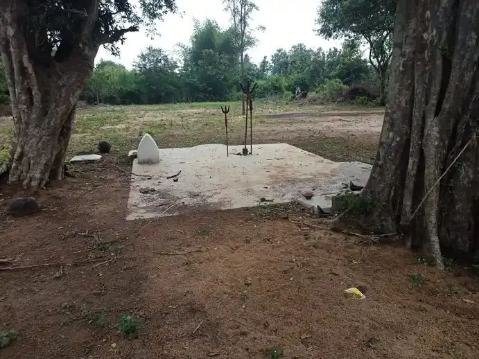 Arulmigu Karuppusamy Temple, Kundaveli - 612903 அருள்மிகு கருப்புசாமி திருக்கோயில், Kundaveli - 612903, Ariyalur - Ancient Temple Architecture and History Image 4