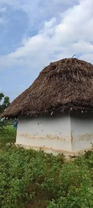 Arulmigu Karuppusamy Temple, Thondamanginam - 621313