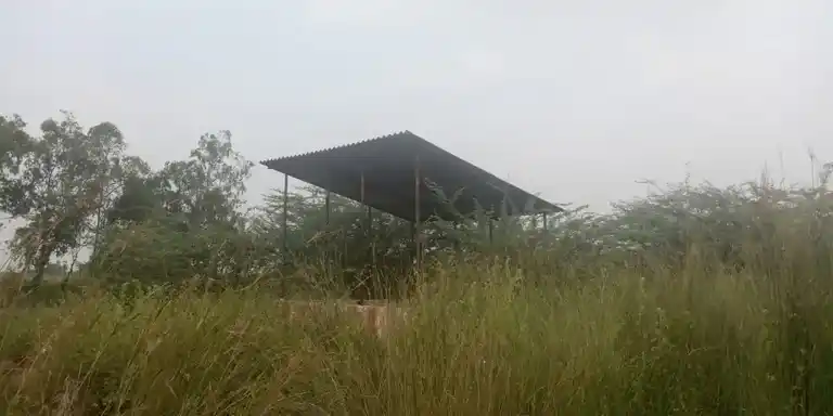 Arulmigu Karupusamy Temple, Annakaranpettai - 612904 அருள்மிகு கருப்புசாமி திருக்கோயில், Annakaranpettai - 612904, Ariyalur - Ancient Temple Architecture and History Image 4