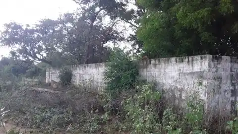 Arulmigu Karuthavinayagar Tirukovil, Ambur - 627418 Arulmigu Karuthavinayagar Tirukovil, Ambur - 627418, Tenkasi - Ancient Temple Architecture and History Image 2