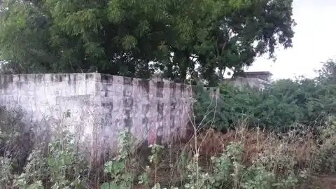 Arulmigu Karuthavinayagar Tirukovil, Ambur - 627418 Arulmigu Karuthavinayagar Tirukovil, Ambur - 627418, Tenkasi - Ancient Temple Architecture and History Image 4