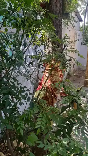 Arulmigu Karuthudaya Kandan Sastha Temple, Valukamparai, Mylady - 629403 அருள்மிகு கருத்துடைய கண்டன் சாஸ்தா திருக்கோயில், Valukamparai, Mylady - 629403, Kanyakumari - Ancient Temple Architecture and History Image 3