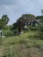 Arulmigu Karuvala Iyanar Temple, Kudavasal - 612601