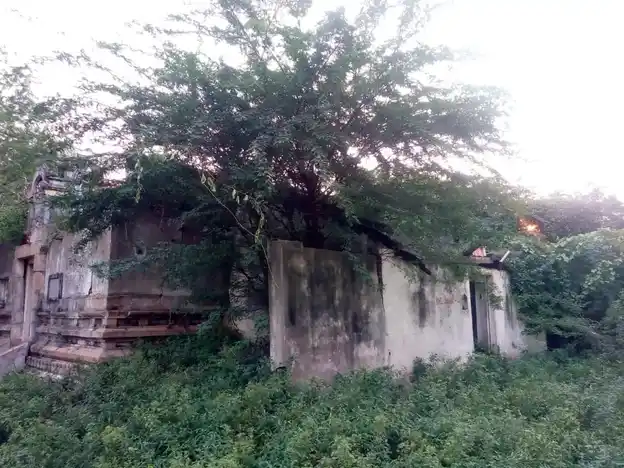 Arulmigu Karuvelaperumal Temple, Kuditheru, Kovathakudi - 621005 அருள்மிகு கருவேலப் பெருமாள் திருக்கோயில், Kuditheru, Kovathakudi - 621005, Thiruchirappalli - Ancient Temple Architecture and History Image 2