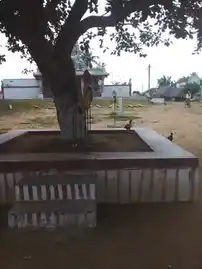 Arulmigu Karuvudayar Temple, Kallampatti - 621308 அருள்மிகு கருவுடையார் திருக்கோயில், Kallampatti - 621308, Pudukkottai - Ancient Temple Architecture and History Image 3