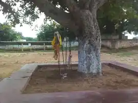 Arulmigu Karuvudayar Temple, Kallampatti - 621308 அருள்மிகு கருவுடையார் திருக்கோயில், Kallampatti - 621308, Pudukkottai - Ancient Temple Architecture and History Image 4