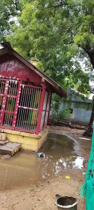 Arulmigu Kasi Vishwanathar Temple, Inungur - 639107 அருள்மிகு காசி விஸ்வநாதசுவாமி திருக்கோயில், இனுங்கூர் - 639107, Karur - Ancient Temple Architecture and History Image 3