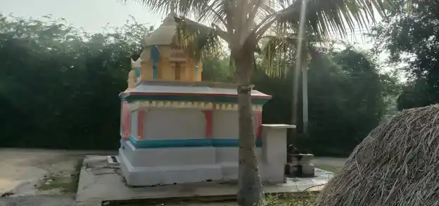 Arulmigu Kasi Vishwanathar Temple, Paali - 632518