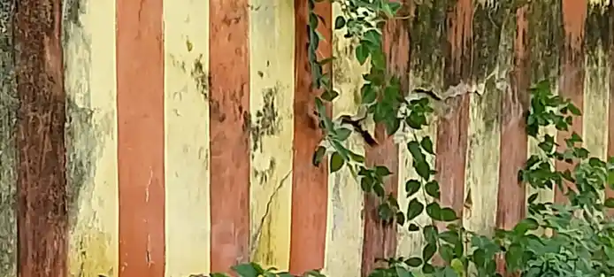 Arulmigu Kasi Vishwanathar Temple, Periyapodinatham - 632520 அருள்மிகு காசிவிஸ்வநாதர் திருக்கோயில், பெரியபோடிநத்தம் - 632520, Vellore - Ancient Temple Architecture and History Image 9