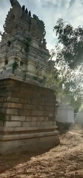 Arulmigu Kasi Viswanathasamy Temple, Agaram Vallanadu, Agaram - 628152 அருள்மிகு காசி விஸ்வநாதசுவாமி திருக்கோயில், Agaram - 628152, Thoothukudi - Ancient Temple Architecture and History Image 3