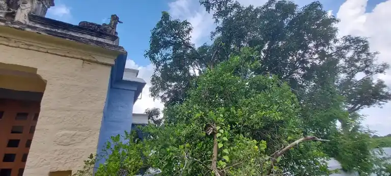 Arulmigu Kasivishvanatha Swami Temple, Vegamangalam - 632531 அருள்மிகு காசி விஸ்வநாதசுவாமி திருக்கோயில், வேகாமங்களம் - 632531, Ranipet - Ancient Temple Architecture and History Image 3