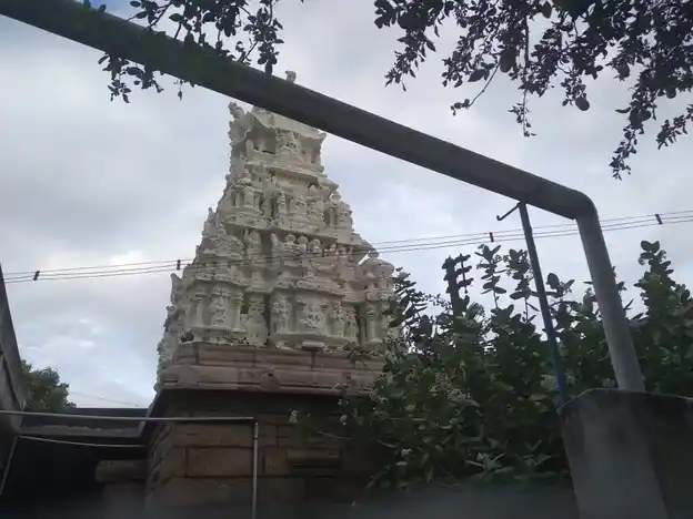 Arulmigu Kasivishvanatha Swamy Temple, Sathiram Sevalpatti., Sathiram Sevalpatti. - 626102 அருள்மிகு காசி விஸ்வநாத சுவாமி திருக்கோயில், சத்திரம்செவல்பட்டி, சத்திரம்செவல்பட்டி கிராமம் - 626102, Virudhunagar - Ancient Temple Architecture and History Image 5