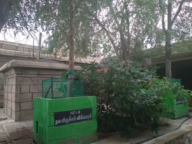 Arulmigu Kasivishvanatha Swamy Temple, Sathiram Sevalpatti., Sathiram Sevalpatti. - 626102 அருள்மிகு காசி விஸ்வநாத சுவாமி திருக்கோயில், சத்திரம்செவல்பட்டி, சத்திரம்செவல்பட்டி கிராமம் - 626102, Virudhunagar - Ancient Temple Architecture and History Image 6