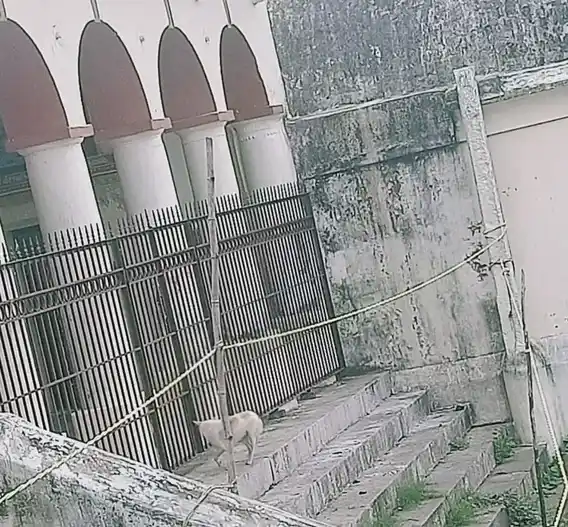 Arulmigu Kasivishvanathar Temple, Kumbakonam - 612001 Temple