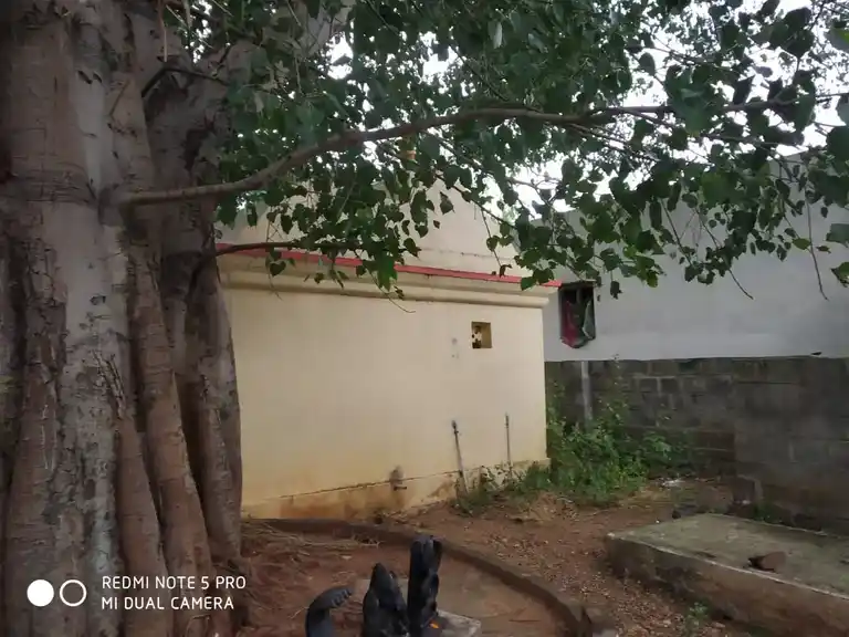 Arulmigu Kasivishwanathar Temple, Pottipuram - 636309 அருள்மிகு காசி விஸ்வநாதர் சுவாமி திருக்கோயில், Pottipuram - 636309, Salem - Ancient Temple Architecture and History Image 3