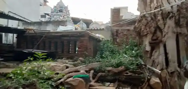Arulmigu Kasivisvanatha Swamy Temple, Thiruchirappalli - 620002 Arulmigu Kasivisvanatha Swamy Temple, Thiruchirappalli - 620002, Thiruchirappalli - Ancient Temple Architecture and History Image 5