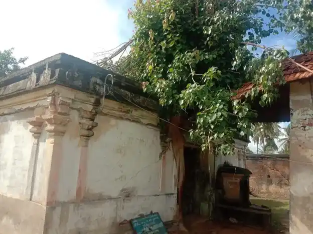 Arulmigu Kasiviswanatha Swamy Temple, Rajamadam - 614701 அருள்மிகு காசிவிஸ்வநாத சுவாமி திருக்கோயில், Rajamadam - 614701, Thanjavur - Ancient Temple Architecture and History Image 9