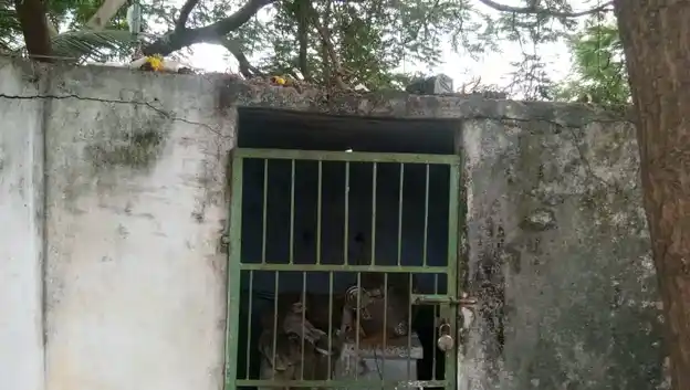 Arulmigu Kasiviswanathar And Lakshmi Narayanaperumal Temple, Sathur - 632503 அருள்மிகு காசிவிஸ்வநாதர் திருக்கோயில், சாத்தூர் - 632503, Ranipet - Ancient Temple Architecture and History Image 2