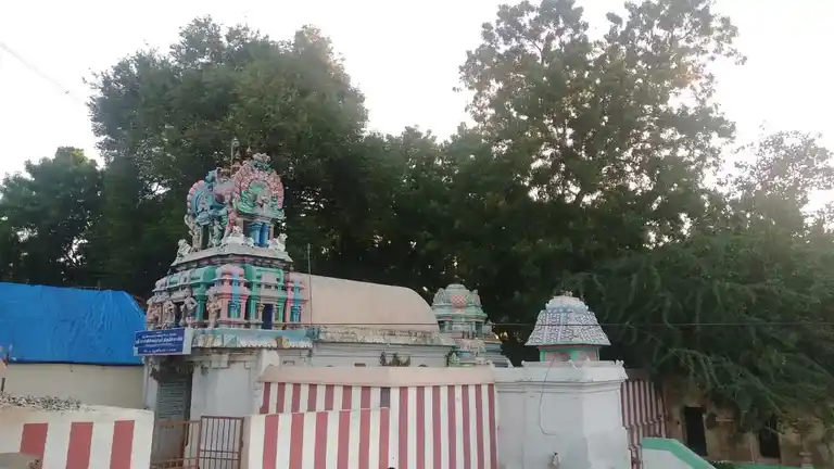 Arulmigu Kasiviswanathar Temple, Dharasuram - 612703 அருள்மிகு காசிவிஸ்வநாதர் திருக்கோயில், Dharasuram - 612703, Thanjavur - Ancient Temple Architecture and History Image 3