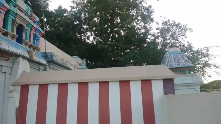 Arulmigu Kasiviswanathar Temple, Dharasuram - 612703 அருள்மிகு காசிவிஸ்வநாதர் திருக்கோயில், Dharasuram - 612703, Thanjavur - Ancient Temple Architecture and History Image 4