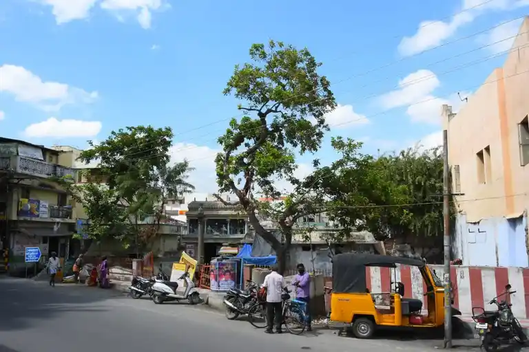 Arulmigu Kasiviswanathar Temple, Second Agraharam, Salem - 636001 அருள்மிகு காசிவிஸ்வநாதர் திருக்கோயில், இரண்டாவது அக்ரஹாரம், Salem - 636001, Salem - Ancient Temple Architecture and History Image 4