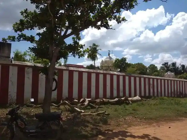 Arulmigu Kasiviswanathar Temple, Vijayaregunathapuram, Alangudi Taluk - 622303 அருள்மிகு காசிவிஸ்வநாதர் திருக்கோயில், விஜயரெகுநாதபுரம், ஆலங்குடி வட்டம் - 622303, Pudukkottai - Ancient Temple Architecture and History Image 2