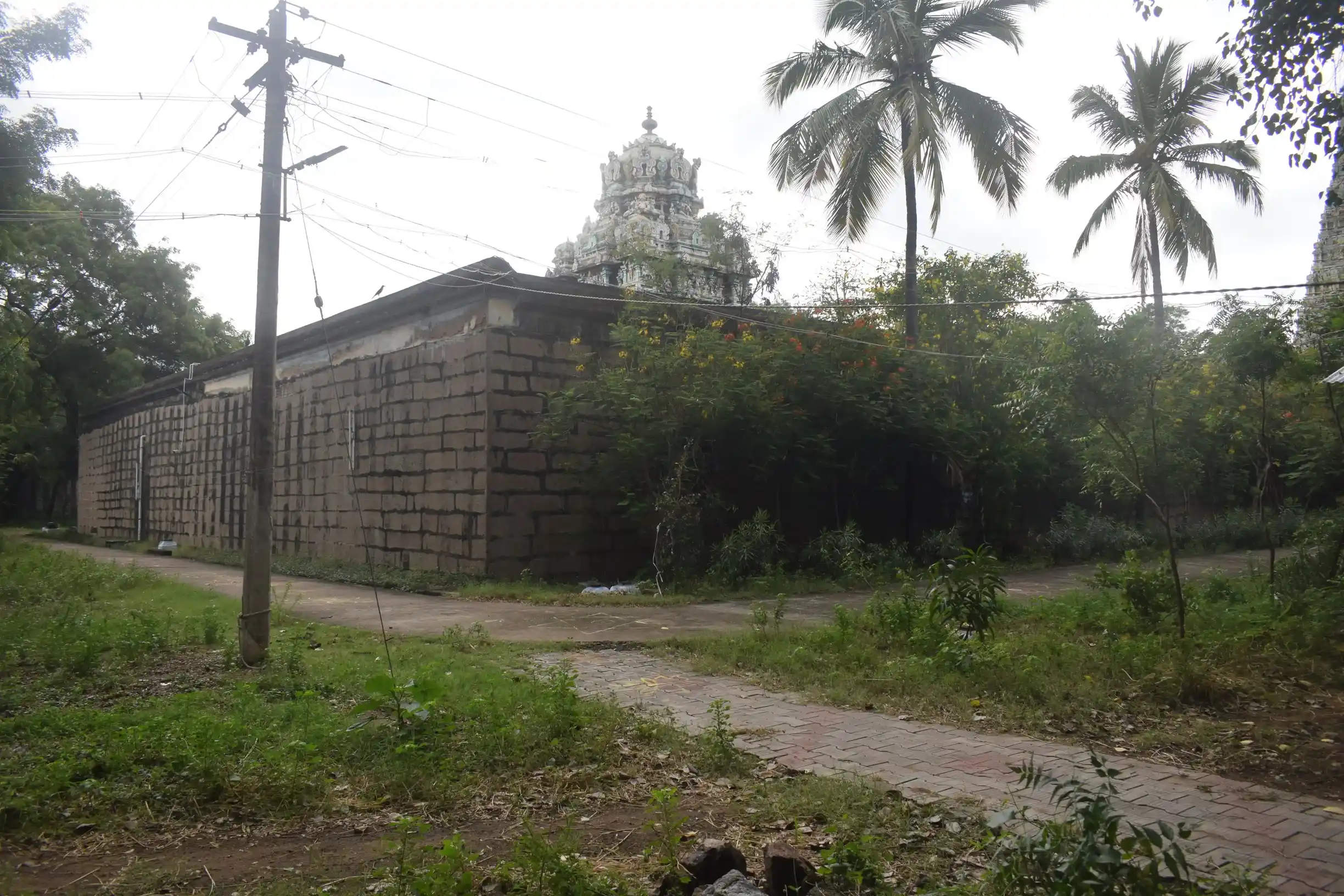 Arulmigu Kasiviswanathaswamy Temple, Tenkasi - 627811 அருள்மிகு காசிவிசுவநாதசுவாமி திருக்கோயில், Tenkasi - 627811, Tenkasi - Ancient Temple Architecture and History Image 3