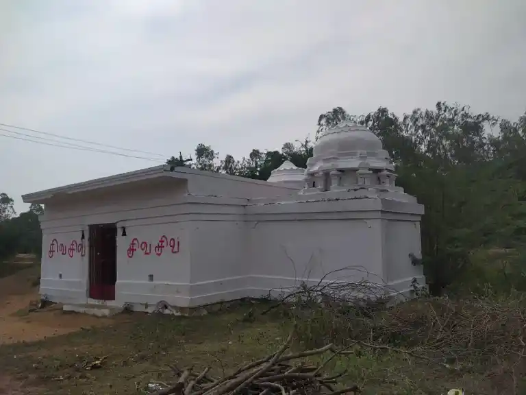 Arulmigu Kasiviswanathaswamy Temple, Udaiyarpalayam - 621804 Temple