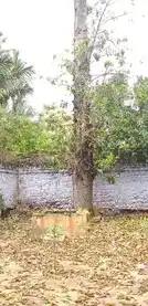 Arulmigu Kasiviswanathswamy Temple, Kiliyanallur - 621213 அருள்மிகு காசிவிஸ்வநாதர் திருக்கோயில், Kiliyanallur - 621213, Thiruchirappalli - Ancient Temple Architecture and History Image 6