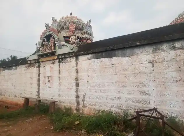 Arulmigu Kasiviswanthar Temple, Pappapatti - 621211 அருள்மிகு காசி விஸ்வநாதா திருக்கோயில், பாப்பம்பட்டி - 621211, Thiruchirappalli - Ancient Temple Architecture and History Image 7