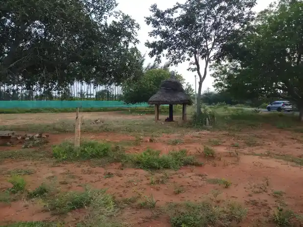 Arulmigu Kasthuri Malai Temple, R.Pudukottai - 624706
