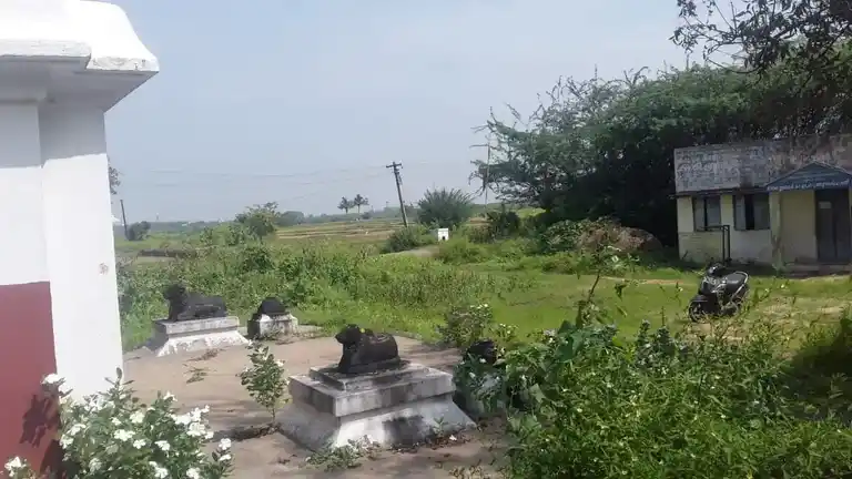 Arulmigu Katchabeswarar Ekambareshwarar Vagayara Temple, Periyakarumpur - 631502