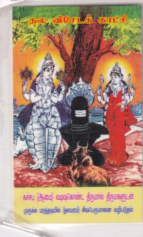 Arulmigu Katchabeswarar Temple, Annai Indra Gandhi Salai, Kancheepuram - 631501 அருள்மிகு கச்சபேஸ்வரர் திருக்கோயில், அன்னை இந்திரா காந்தி சாலை, காஞ்சிபுரம் - 631501, Kancheepuram - Ancient Temple Architecture and History Image 6